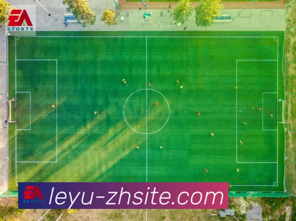 平台展示图
