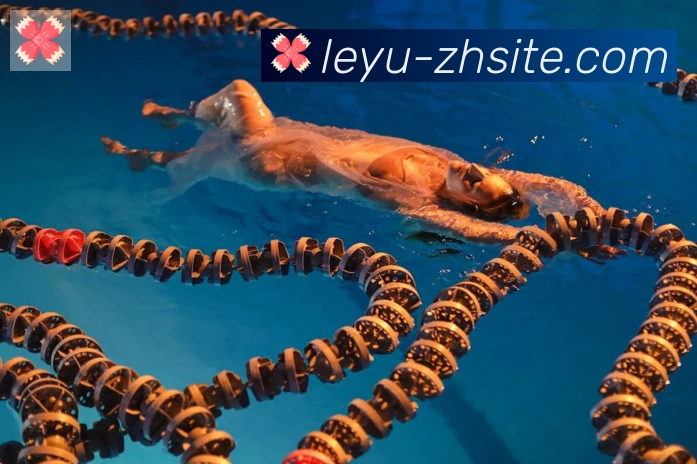 乐鱼leyu服务体系