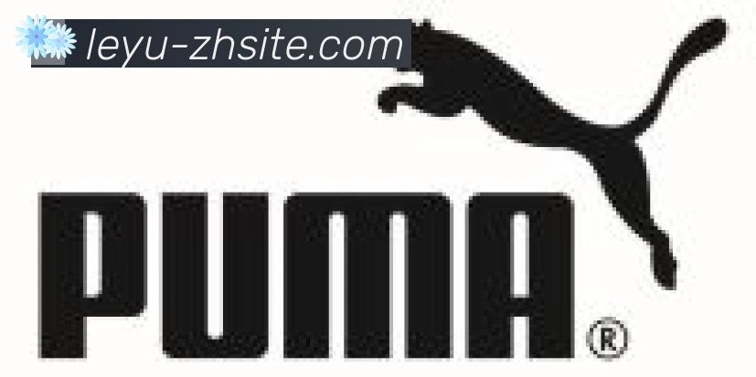 乐鱼leyu合作伙伴